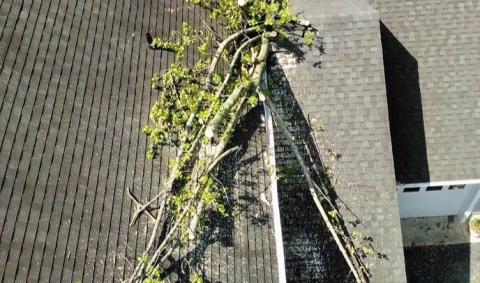 Storm Damage 