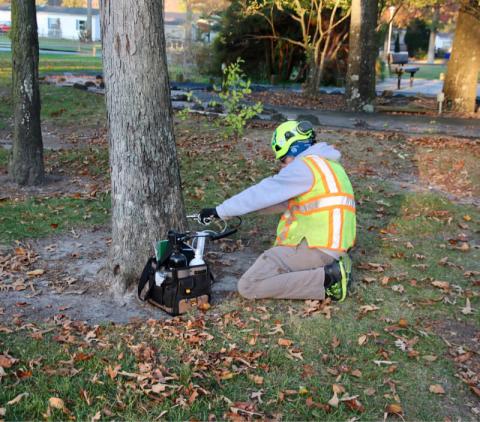Tree Injection 