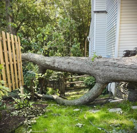 Storm Damage
