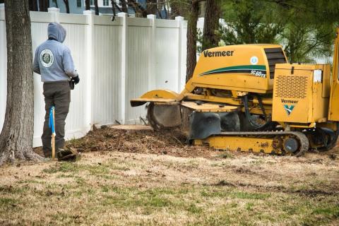 Stump grinding